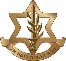 IDF leadership training client